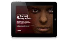 profoto flipbook